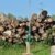 AGT Holzspalter, Handbetrieb - 