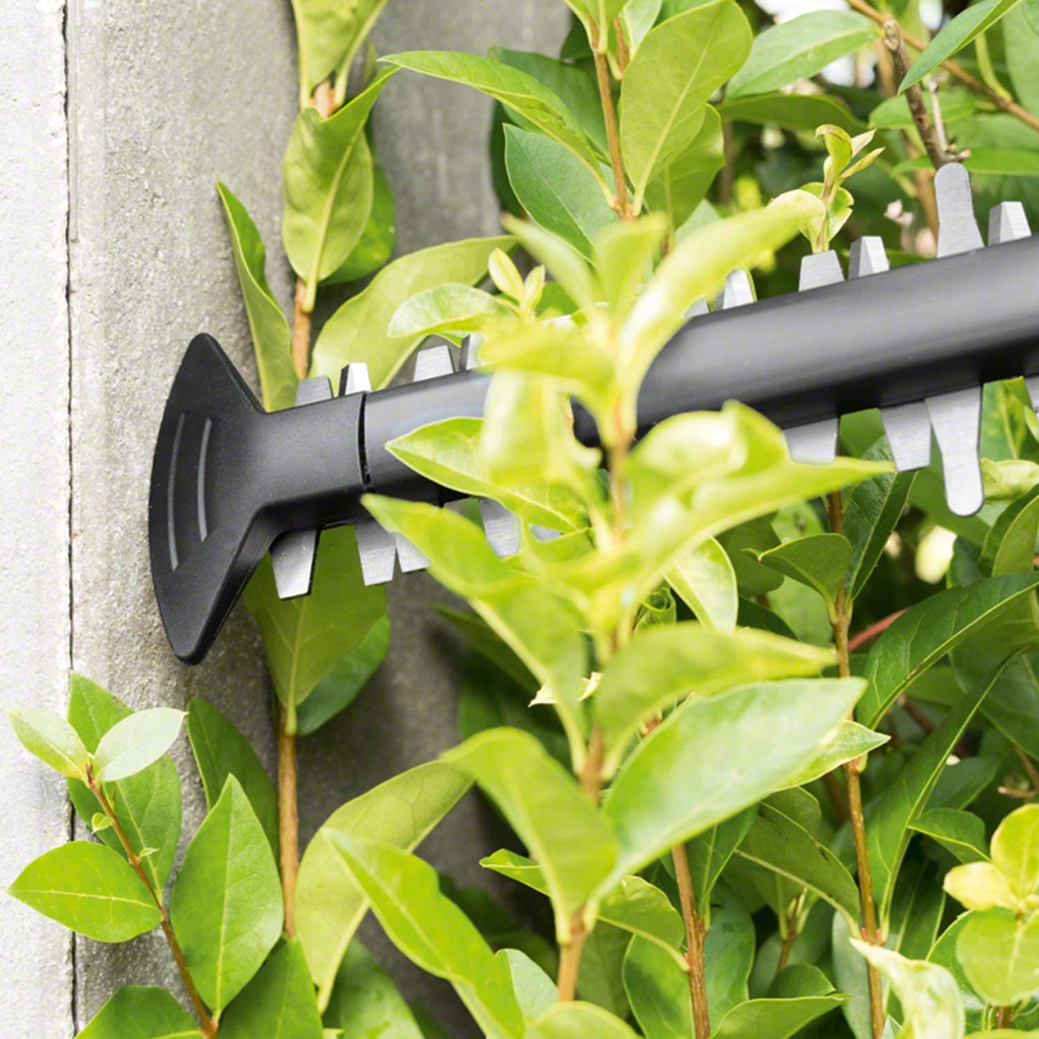 Akku Heckenschere AHS 50-20 LI