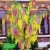 BALDUR-Garten Chimären-Goldregen, 1 Pflanze Laburnocytisus adamii -