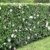 BALDUR-Garten Hibiskus-Hecke, 5 Pflanzen, Hibiscus Syriacus - 