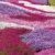 BALDUR-Garten Phlox-Mix 