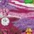BALDUR-Garten Phlox-Mix "Flowers of the Sea",4 Pflanzen -