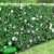 BALDUR-Garten Winterharte Hibiskus-Hecke, 10 Pflanzen, Hibiscus Syriacus -