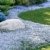 BALDUR-Garten Winterharter Bodendecker Isotoma 'Blue Foot', 3 Pflanzen - 