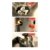 Barbecook Major Lagoon Limited Edition Holzkohle-Grill, Säulengrill - 