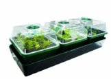 Bio Green Aufzuchtartikel Hollandia Aufzuchtstation, Mehrfarbig -
