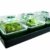Bio Green Aufzuchtartikel Hollandia Aufzuchtstation, Mehrfarbig -