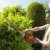 Black & Decker GT5055SPKIT Heckenschere 500W 55cm 55 cm Schwertlänge +5 Teiliges Garten Bewässerung Set - 