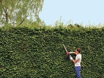 Black+Decker 54 V, 1.5 Ah Akku-Heckenschere mit Powercommand Antiblockierfunktion, 60 cm Schwertlänge, 19 mm Schnittstärke - inklusiv DualVolt Akku und Schnell-Ladegerät, 1 Stück, GTC5455PC - 