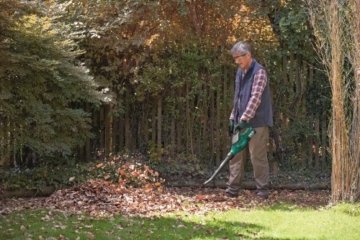 Bosch DIY Laubbläser ALB 36 LI, Akku, Ladegerät, Karton (36 V, 2,6 Ah, Luftgeschwindigkeit 180- 260 km/h) - 