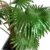 Closer 2 Nature P092W Künstliche Hanfpalme 105 cm - 