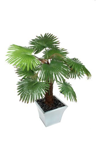 Closer 2 Nature P092W Künstliche Hanfpalme 105 cm -