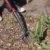 Connex Spatengabel rostfrei,ergonomischer Stiel - 
