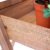 DanDiBo Kräuterregal Fiora-1 aus Holz 90cm Blumentreppe Pflanzentreppe Blumenständer - 