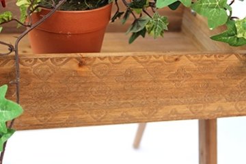 DanDiBo Kräuterregal Fiora-1 aus Holz 90cm Blumentreppe Pflanzentreppe Blumenständer - 