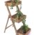 DanDiBo Kräuterregal Fiora-1 aus Holz 90cm Blumentreppe Pflanzentreppe Blumenständer - 
