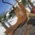 DESIGN Hängeliege 'NAVASSA-SEAT' aus Holz Lärche mit Auflage (OHNE Gestell) von AS-S - 