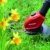 Einhell Akku Rasentrimmer GE-CT 18 Li Solo Power X-Change (Lithium Ionen, 18 V, 240 mm Schnittkreis, 20 Kunststoffmesser, ohne Akku und Ladegerät) - 