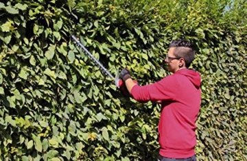 Einhell Elektro Heckenschere GC-EH 5550 (550 Watt, 500 mm Schnittlänge, 26 mm Zahnabstand, Schnittgutsammler) - 