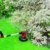 Einhell Elektro Rasentrimmer GC-ET 4025 (400 W, 25 cm Schnittkreis, 1,6 mm Nylonfaden, Tipp-Automatik) - 