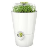 Emsa 515565 Kräutertopf Fresh Herbs Grow, weiß -