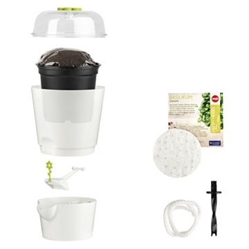 Emsa 515565 Kräutertopf Fresh Herbs Grow, weiß - 