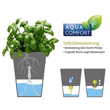 Emsa 515565 Kräutertopf Fresh Herbs Grow, weiß - 