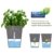 Emsa 515565 Kräutertopf Fresh Herbs Grow, weiß - 