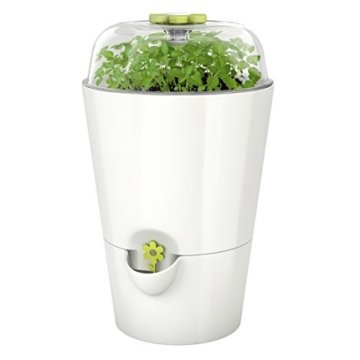 Emsa 515565 Kräutertopf Fresh Herbs Grow, weiß -