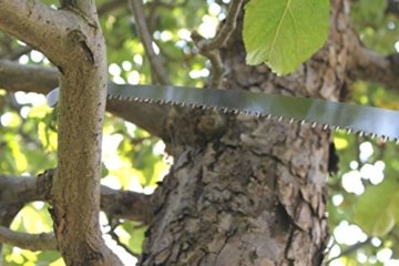 FenWi Teleskop Profi Astsäge mit gebogener Baumsäge incl. Zug-Haken & 8m Alu-Teleskopstange in verstärkter Ausführung (bis 10,5m Höhe) - ideal als Hochentaster - 