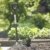 Fiskars Gärtnerspaten, Light, Rund - 
