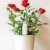 Flower Care - Smart Pflanzenmonitor. Echtzeit Sensoren für Bodenfruchtbarkeit, -feuchtigkeitsgrad, Licht und Temperatur. iOS und Android App. - 