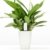 Flower Care - Smart Pflanzenmonitor. Echtzeit Sensoren für Bodenfruchtbarkeit, -feuchtigkeitsgrad, Licht und Temperatur. iOS und Android App. - 