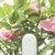 Flower Care - Smart Pflanzenmonitor. Echtzeit Sensoren für Bodenfruchtbarkeit, -feuchtigkeitsgrad, Licht und Temperatur. iOS und Android App. - 