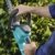 Gardena 8874-20 Elektro-Heckenschere EasyCut 48 PLUS - 