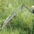 Gardena 8930-20 cs-Kleinsense - 