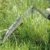Gardena 8930-20 cs-Kleinsense - 