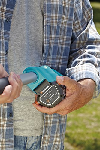 Gardena Hochentaster Accu TCS Li-18/20, 08866-20 - 
