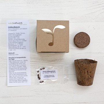 Geschenk-Anzuchtset 