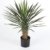 Künstliche Yucca Rostrata mit 90 Blättern, DELUXE, 80 cm - Kunstbusch / Yucca Kunstpflanze - artplants -