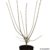Liguster-Hecke, 10 Pflanzen ca. 50 cm mit festem Wurzelballen/Topf für ca. 2 - 3 Meter Hecke - 