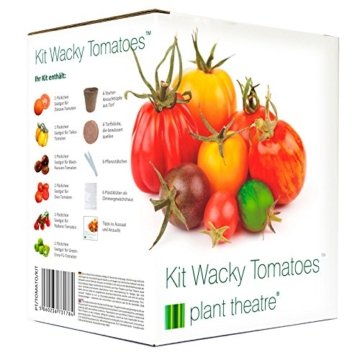 Plant Theatre Kit Wacky Tomatoes - 6 fantastischen Sorten zum Anbauen, ein großartiges Geschenk - 