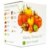 Plant Theatre Kit Wacky Tomatoes - 6 fantastischen Sorten zum Anbauen, ein großartiges Geschenk -