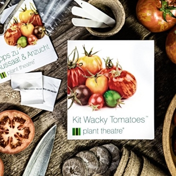 Plant Theatre Kit Wacky Tomatoes - 6 fantastischen Sorten zum Anbauen, ein großartiges Geschenk - 