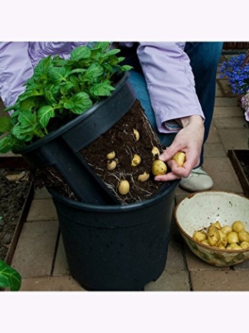 PotatoPot, Anzuchtset -