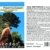 Seedeo Berg - Mammutbaum (Sequoia. giganteum) 50 Samen - 