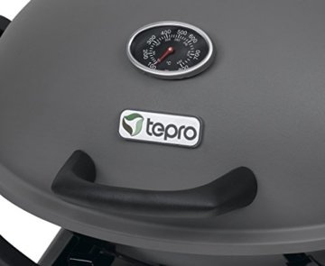 Tepro 3142 Tisch-Gasgrill Abington - 