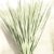 Winterharte Blaukronige Kugelyucca - Yucca rigida - verschiedene Größen (90-100cm - Topf Ø 33cm - 15 Ltr.) - 