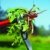 WOLF-Garten Unkrautstecher Automatik IW-A; 73AAA001650 - 
