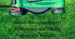 Wann Rasenmähen nach Winter Frühjahr Saat erlaubt